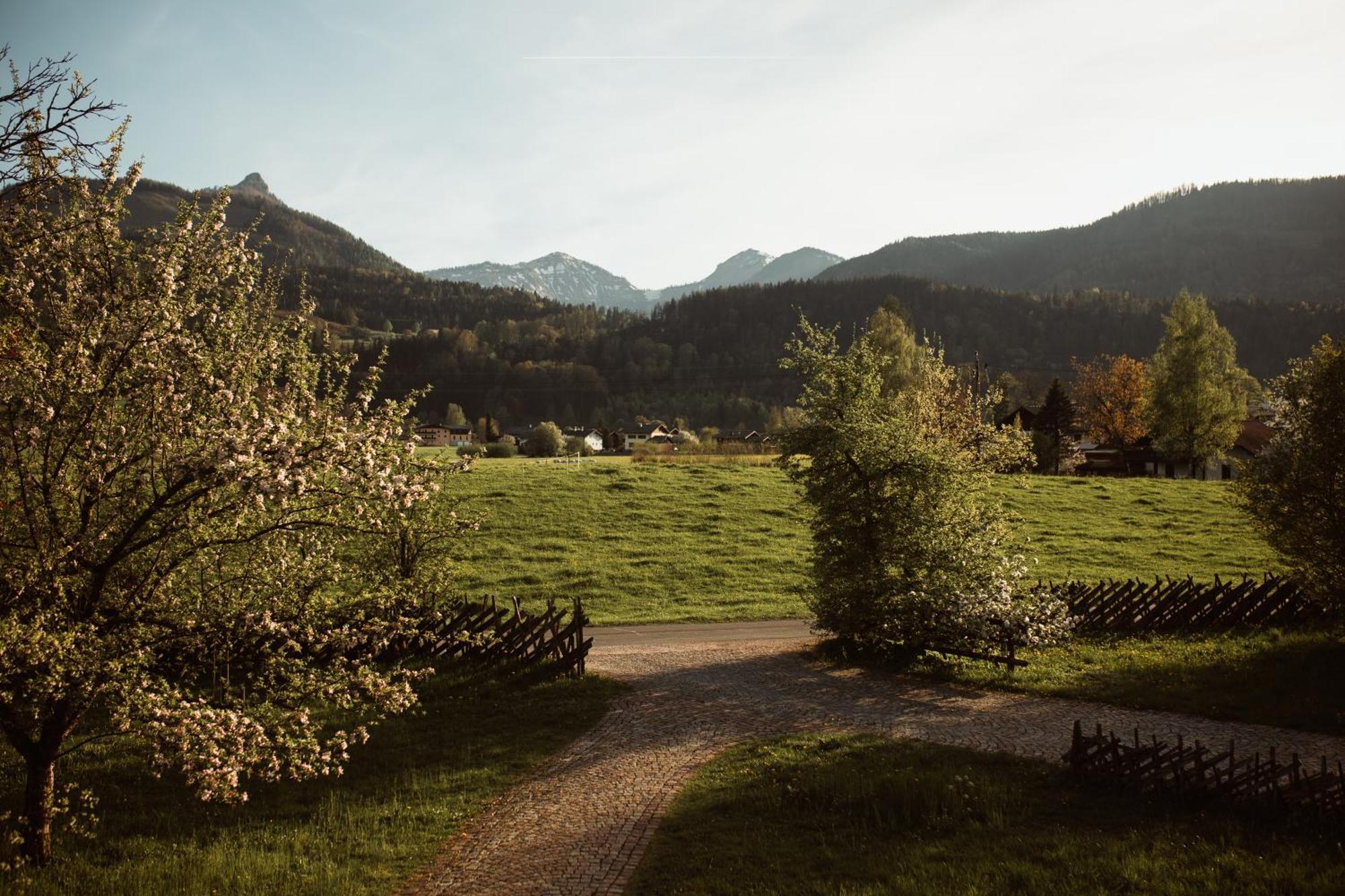 Primushaeusl Gaestehaus Strobl Camera foto